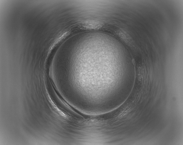 X0000059090634200510101145