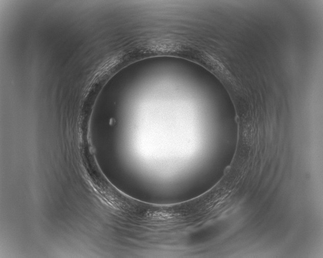 X0000059090635200510101145