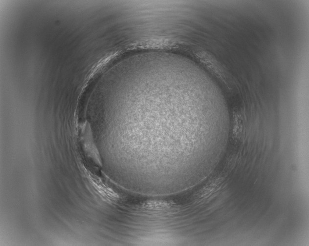 X0000059090636200510101145