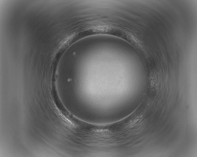 X0000059090637200510101145