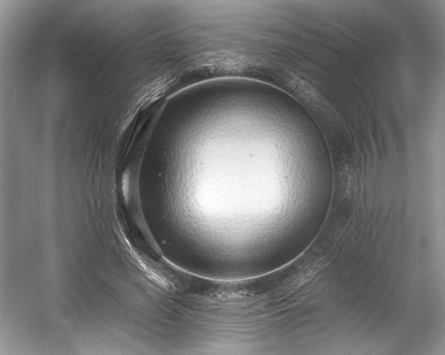 X0000059090638200510101145