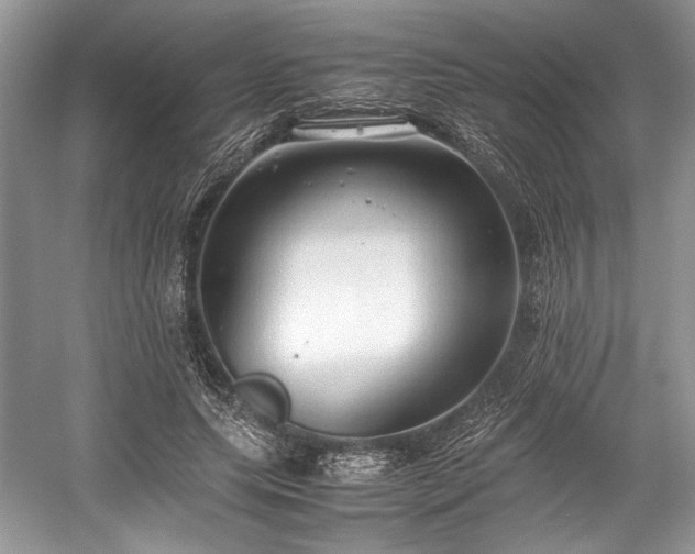 X0000059090639200510101145