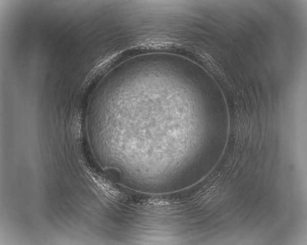 X0000059090640200510101145