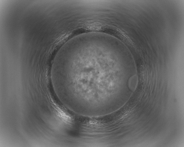 X0000059090641200510101145