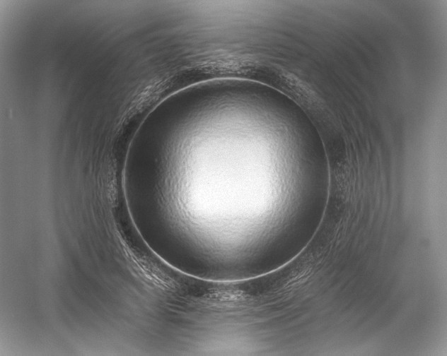 X0000059090642200510101145