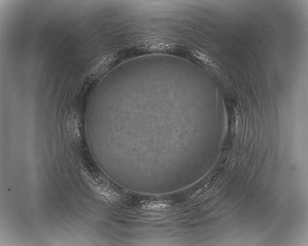 X0000059090643200510101145