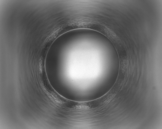 X0000059090644200510101145