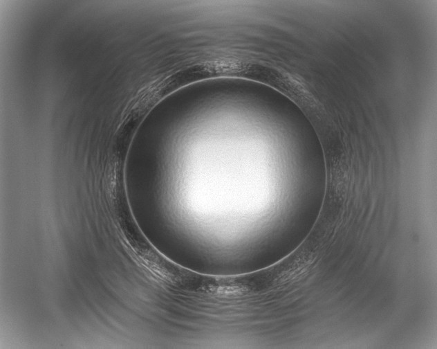 X0000059090645200510101145