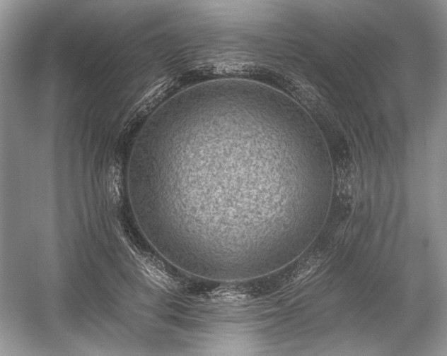 X0000059090648200510101145