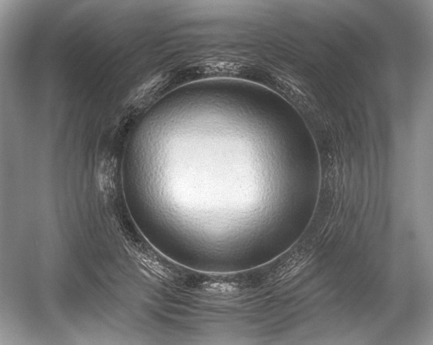 X0000059090649200510101145