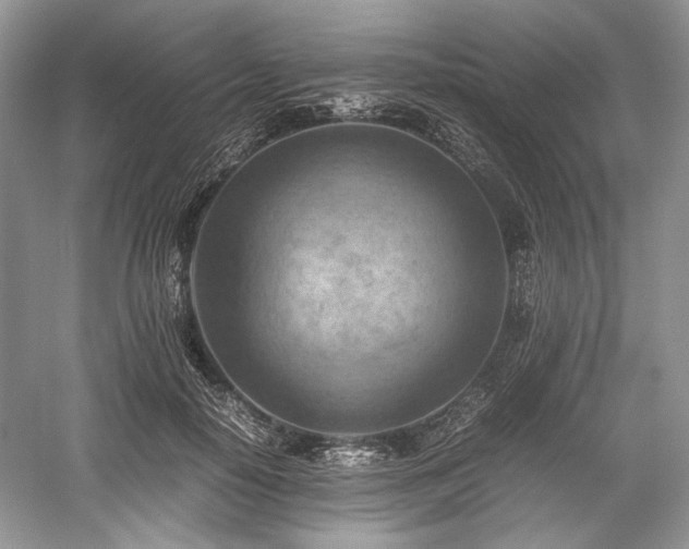 X0000059090650200510101145