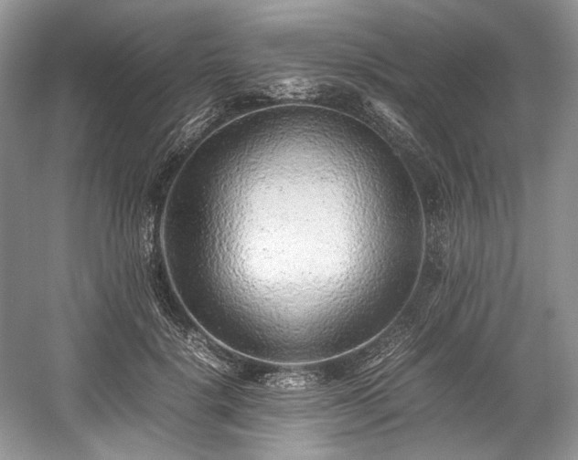 X0000059090652200510101145