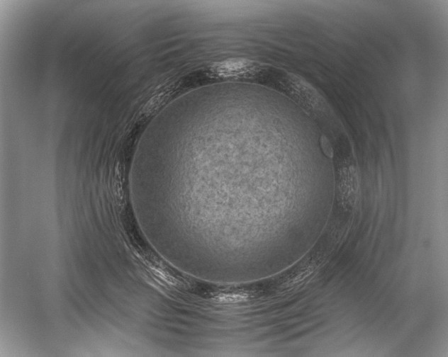 X0000059090653200510101145