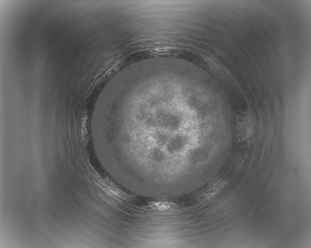 X0000059090654200510101146