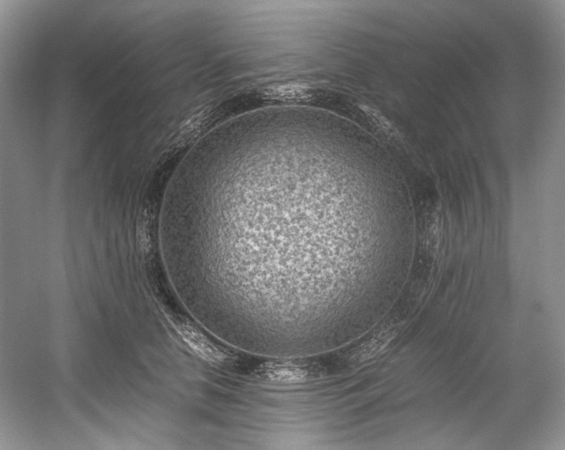 X0000059090658200510101146