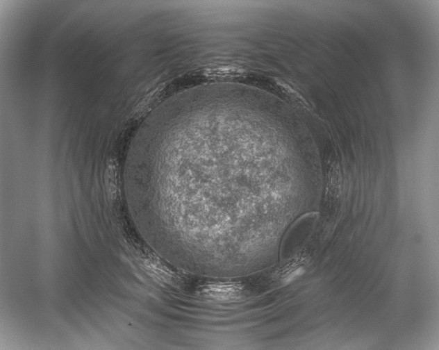 X0000059090659200510101146