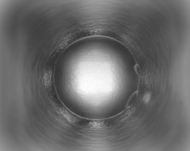 X0000059090660200510101146