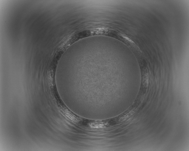 X0000059090661200510101146