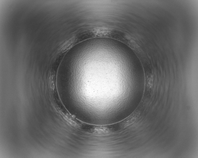 X0000059090666200510101146