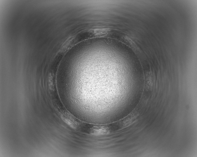 X0000059090667200510101146