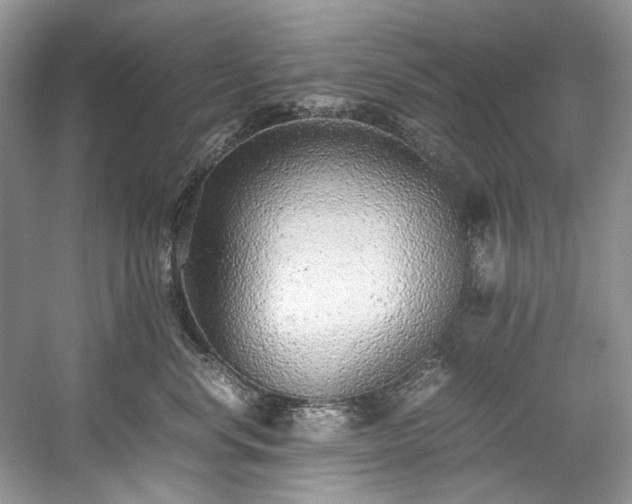 X0000059090668200510101146