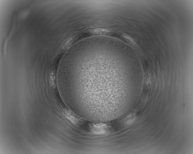 X0000059090669200510101146