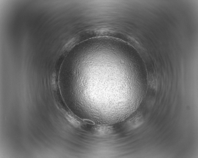 X0000059090670200510101146