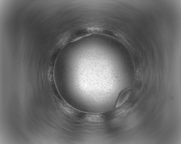 X0000059090671200510101146