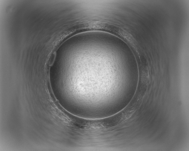 X0000059090673200510101145