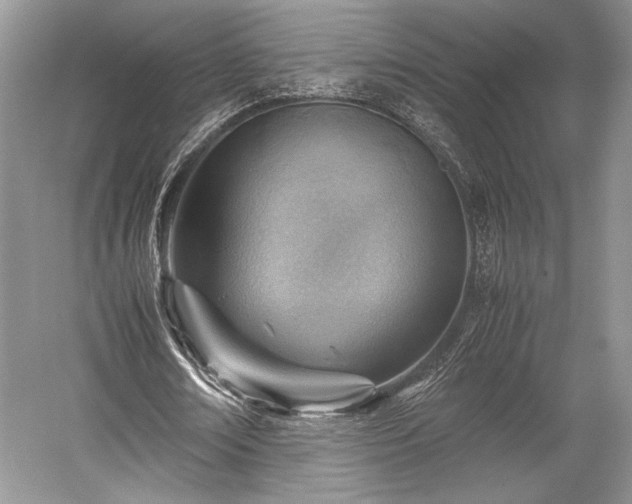 X0000059090674200510101145