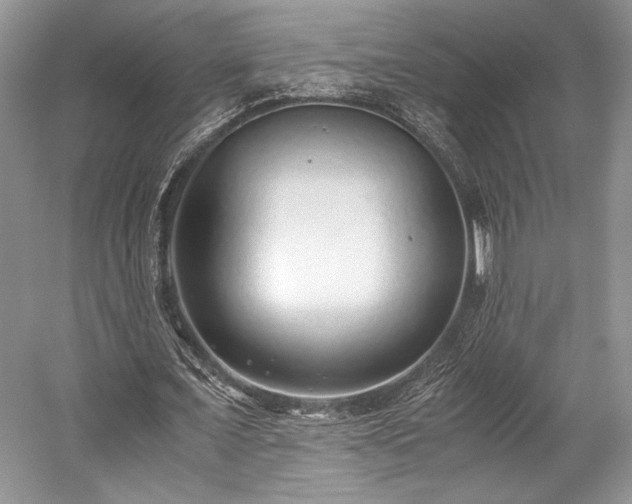 X0000059090675200510101145