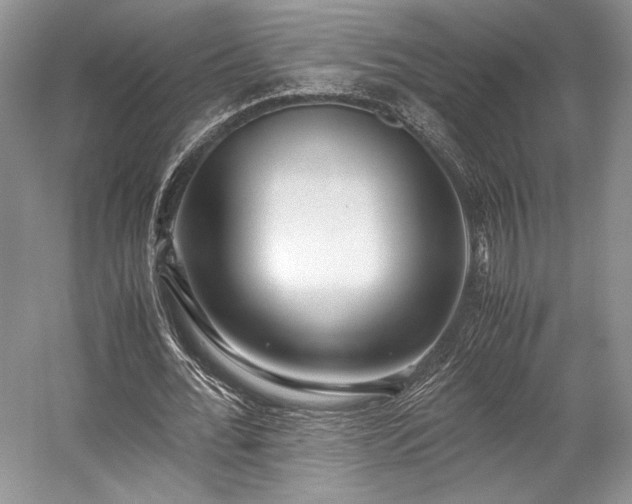 X0000059090676200510101145