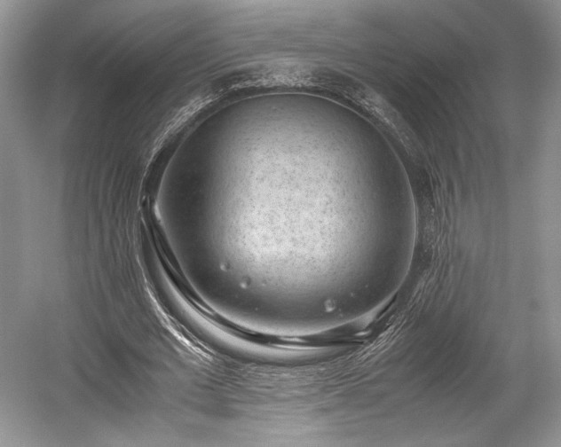 X0000059090677200510101145