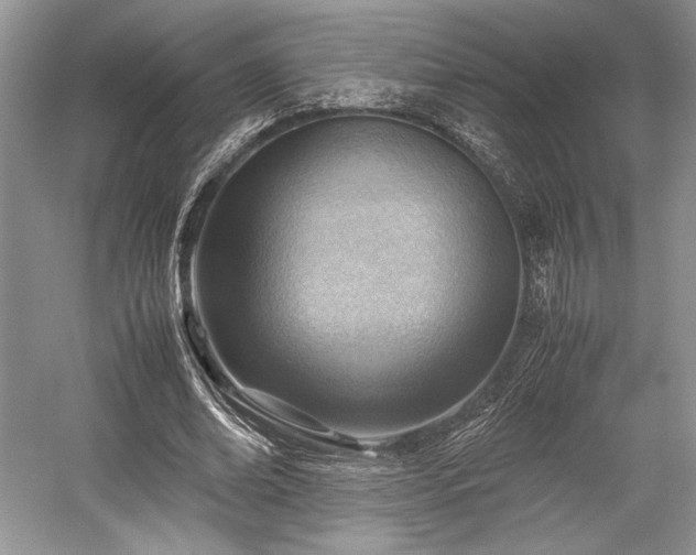 X0000059090678200510101145