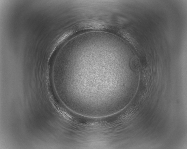 X0000059090679200510101145