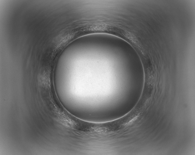 X0000059090681200510101145