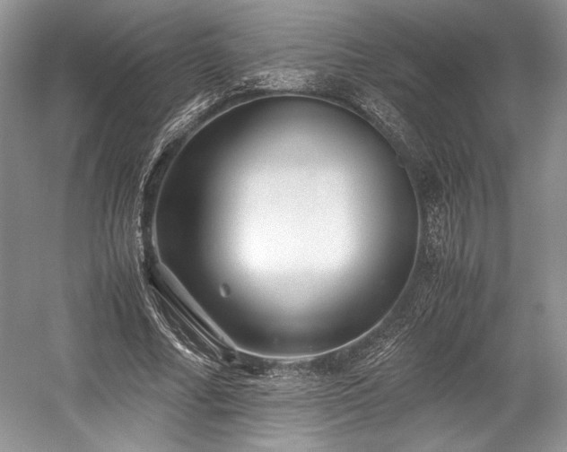 X0000059090682200510101145