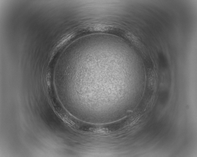 X0000059090683200510101145