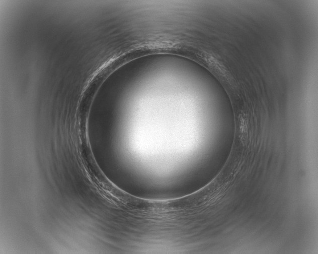 X0000059090684200510101145