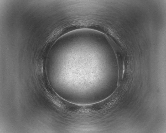 X0000059090685200510101145