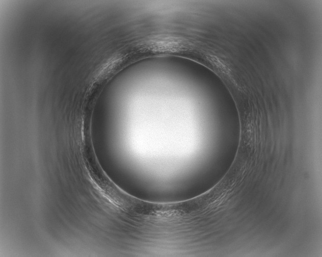 X0000059090686200510101145