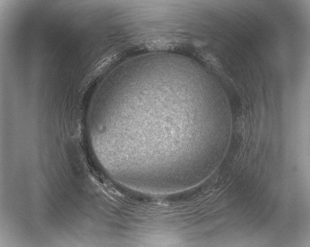 X0000059090687200510101145