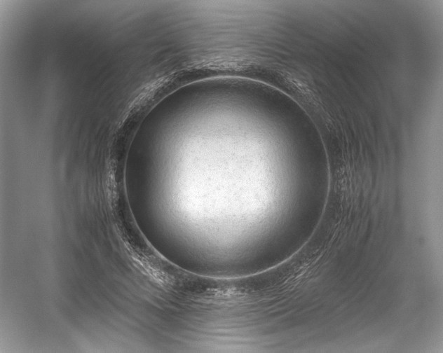 X0000059090688200510101145