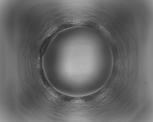 X0000059090689200510101145