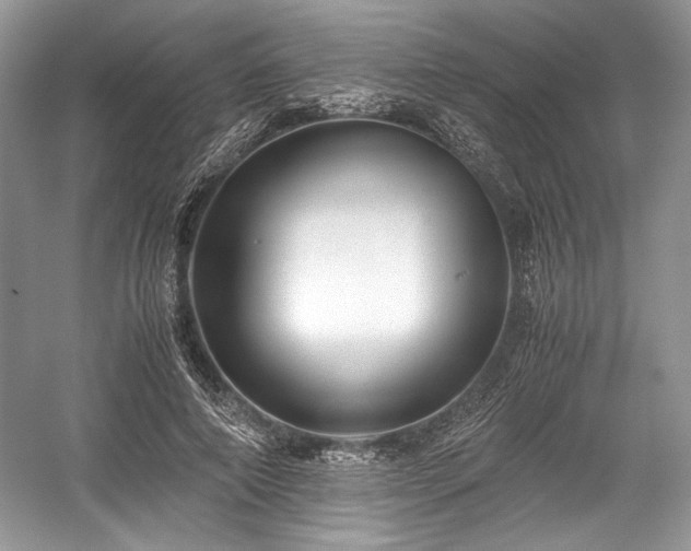 X0000059090690200510101145