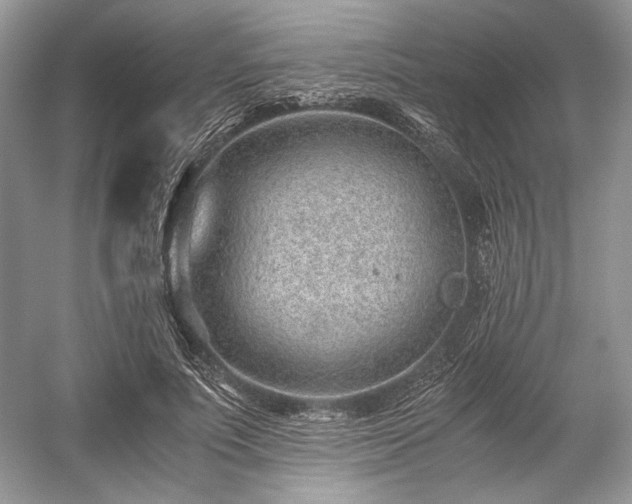 X0000059090691200510101145