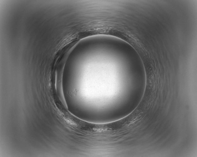 X0000059090693200510101145