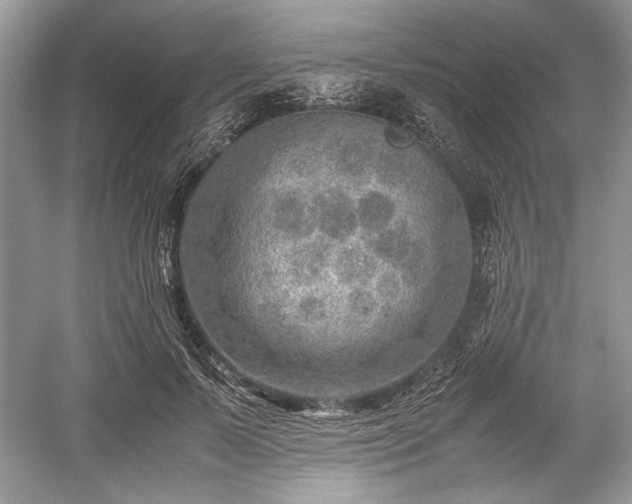 X0000059090695200510101145