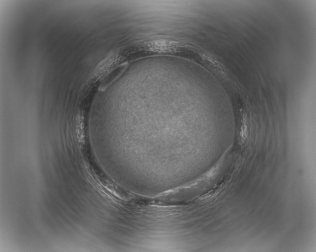 X0000059090696200510101145