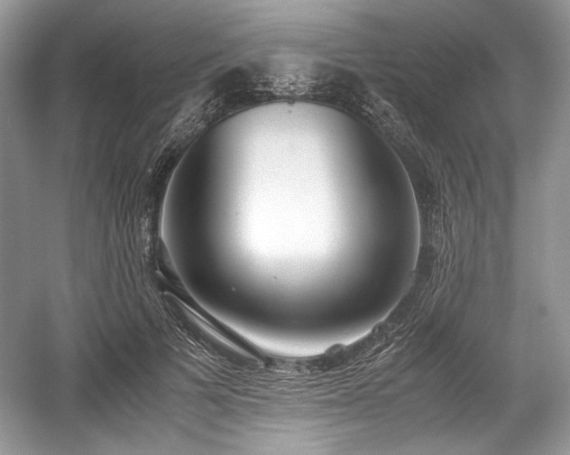 X0000059090697200510101145